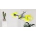 SYMA Z5 Scorpion Heliquad összehajtható drón 